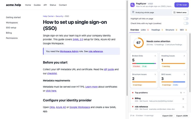 PagAlyzer overview with a page score and broken link, heading, structure and SEO counts
